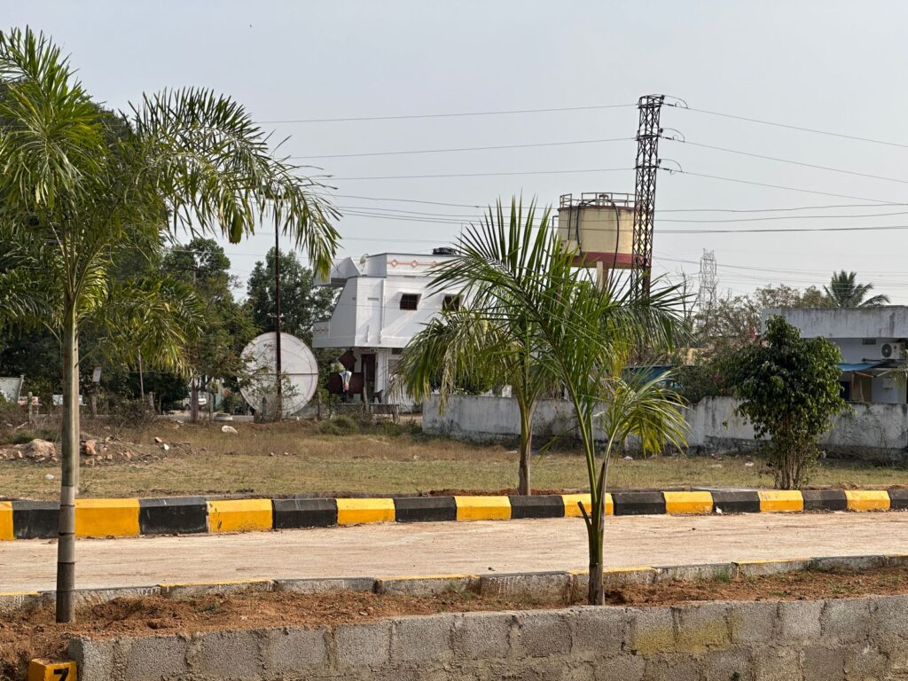 WhatsApp Image 2025-11-08 at 1.24.58 PM (1)