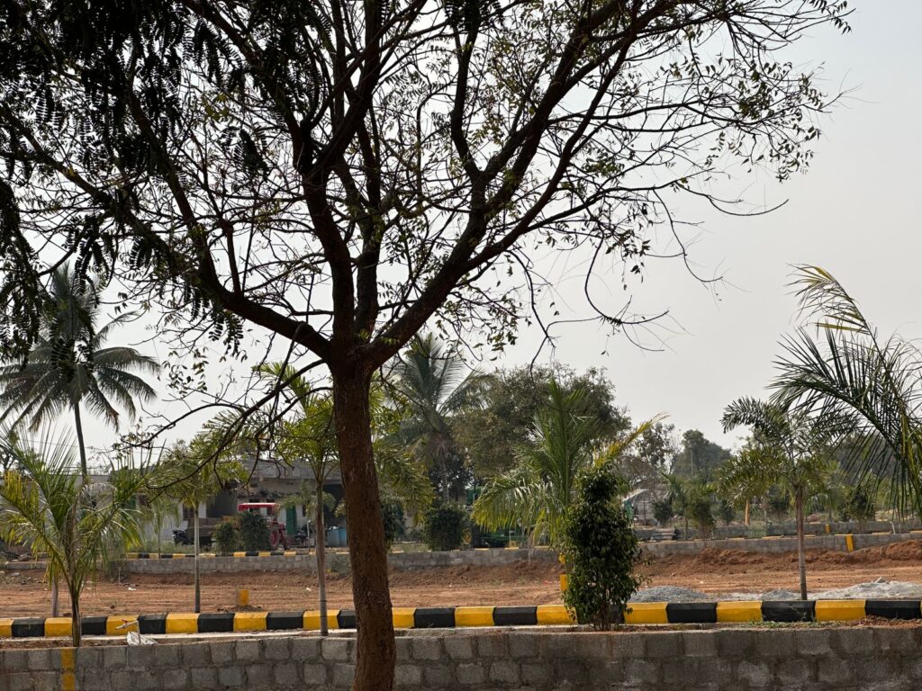 WhatsApp Image 2025-11-08 at 1.24.58 PM